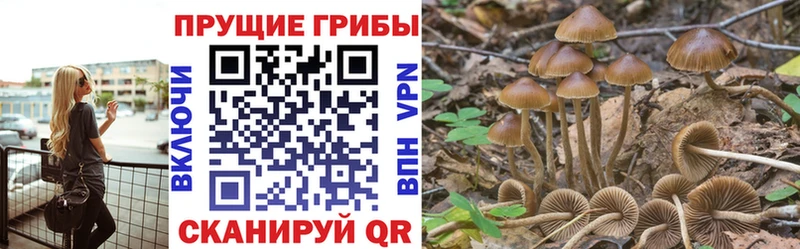 Псилоцибиновые грибы Psilocybe  закладки  Краснослободск 